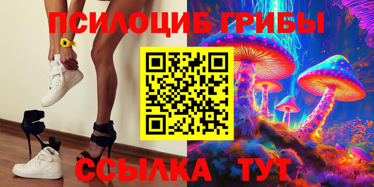 Псилоцибиновые грибы GOLDEN TEACHER  Вход с VPN  купить закладку  Шебекино 