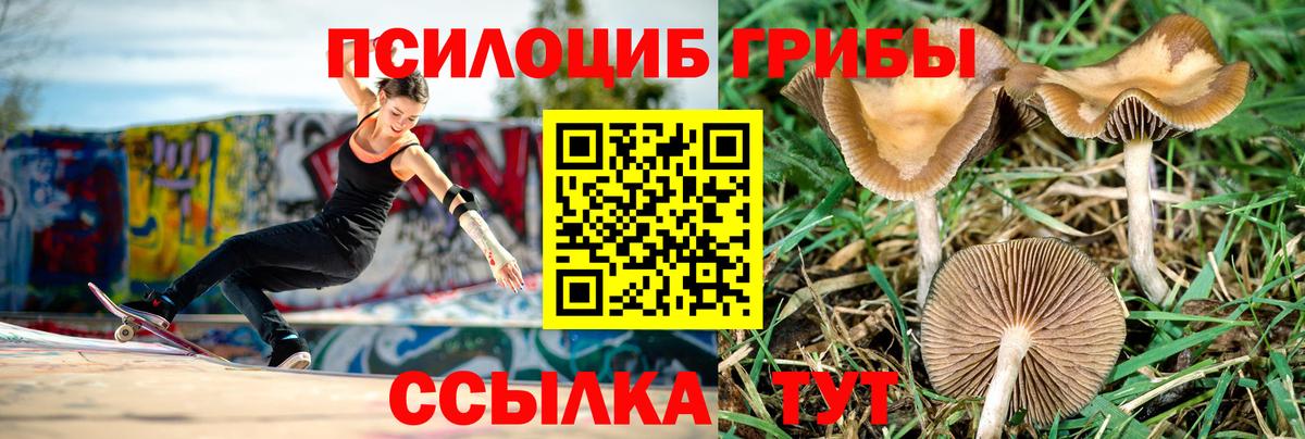 Галлюциногенные грибы GOLDEN TEACHER Шебекино